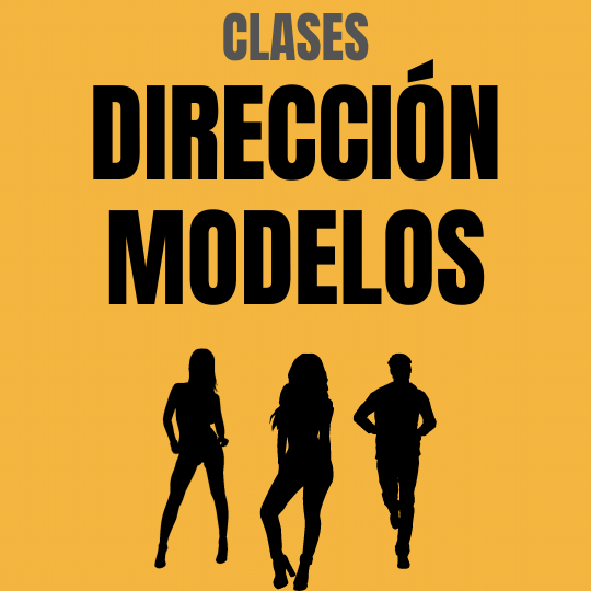 Direccion Modelos