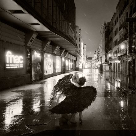 Al liberarme de las cadenas del miedo, y dejar de sentir su frío acero, las alas volvieron a salir.